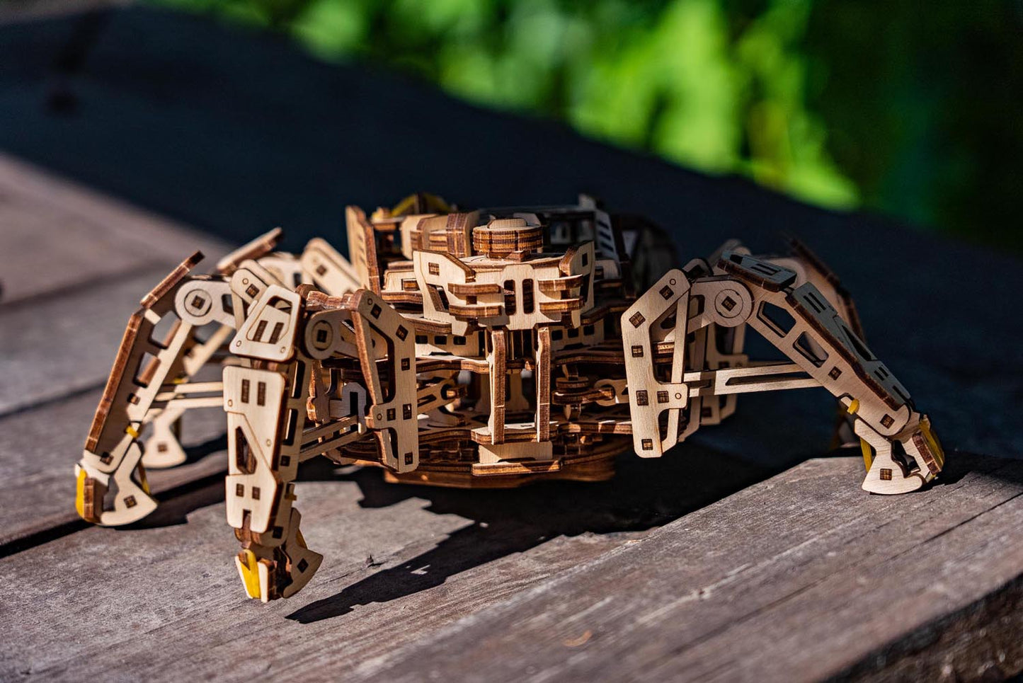 Hexapod Explorer Model Kit