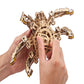 Hexapod Explorer Model Kit
