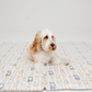 Dogs Play Mat Cover