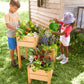 Grow With Me Triple Garden Planter