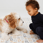 Dogs Play Mat Cover
