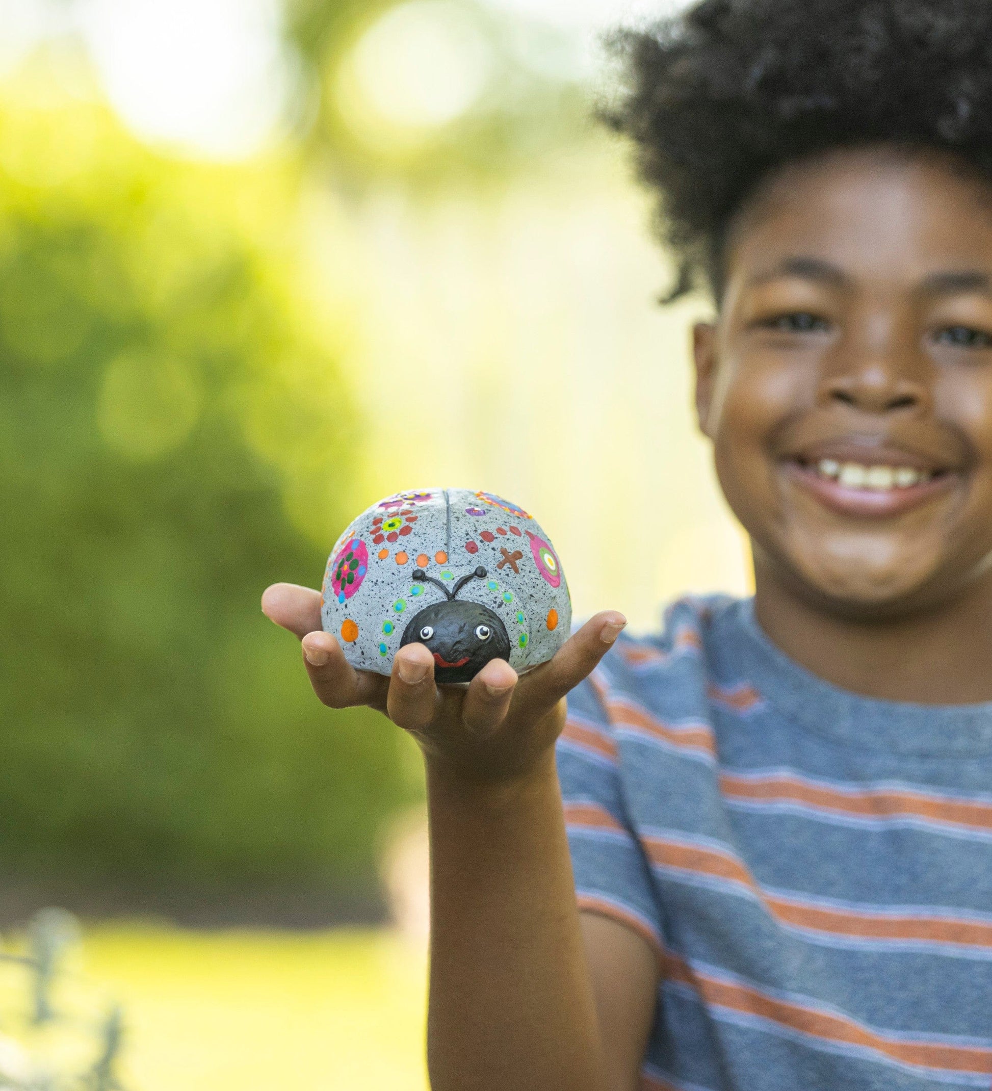 Color Pops Paint-Your-Own Rocks: Ladybugs and Dragonflies