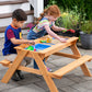 Wooden 2-in-1 Picnic Table Sensory Play Station