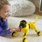 Gizmo the Robotic Dog and Bluetooth Speaker