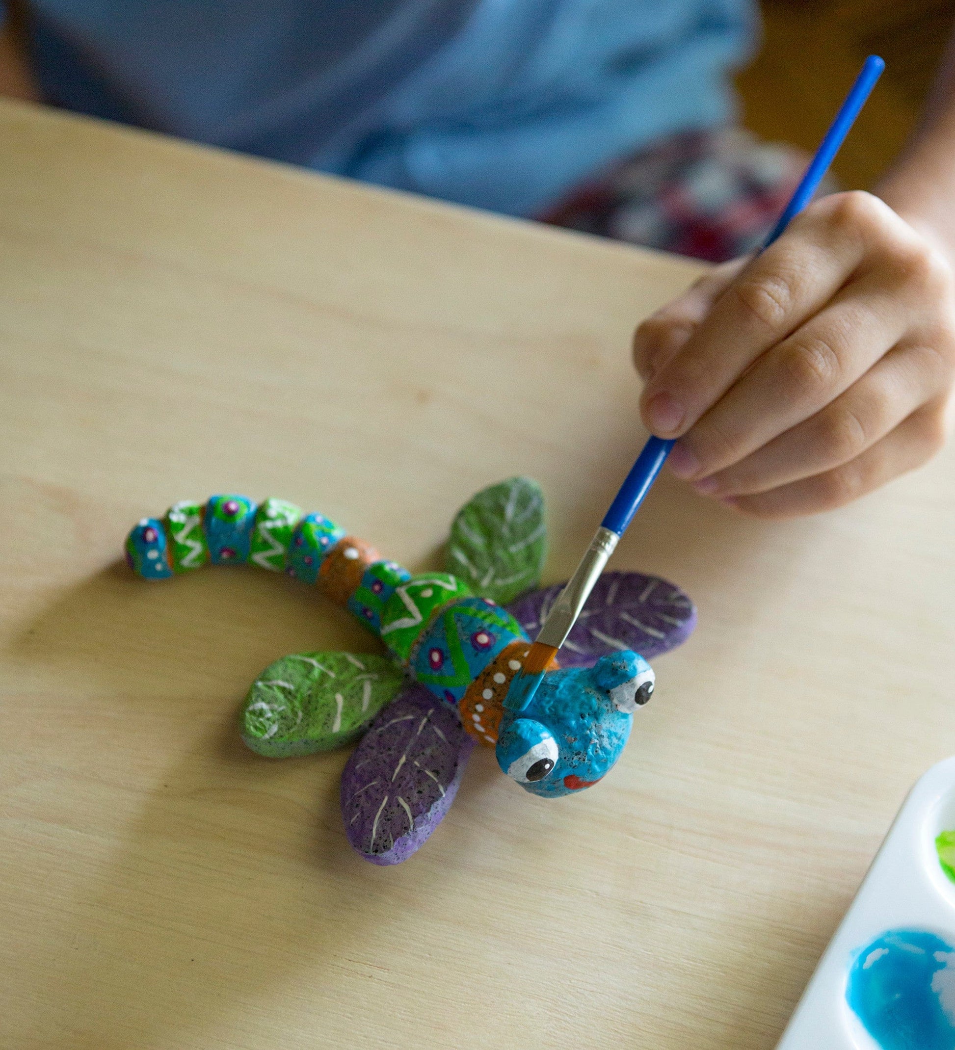 Color Pops Paint-Your-Own Rocks: Ladybugs and Dragonflies