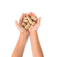 Eco-Bricks Bamboo 250pcs