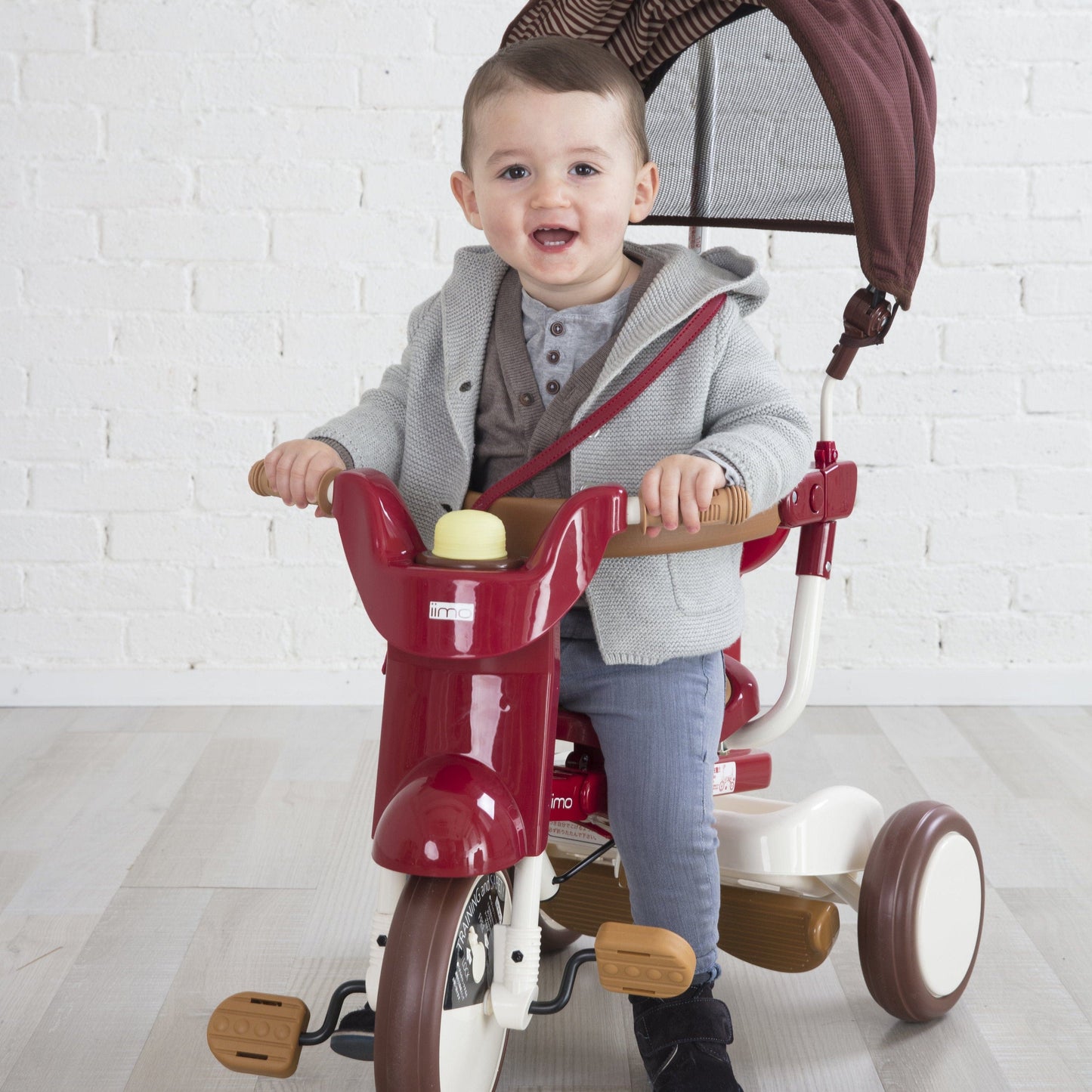 3-In-1 Foldable Tricycle With Canopy
