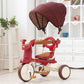 3-In-1 Foldable Tricycle With Canopy