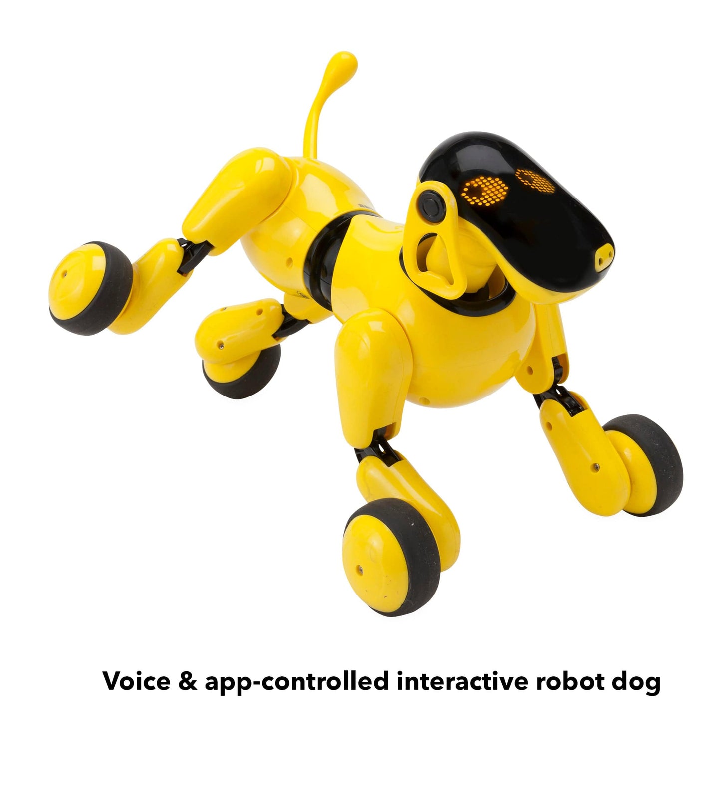 Gizmo the Robotic Dog and Bluetooth Speaker