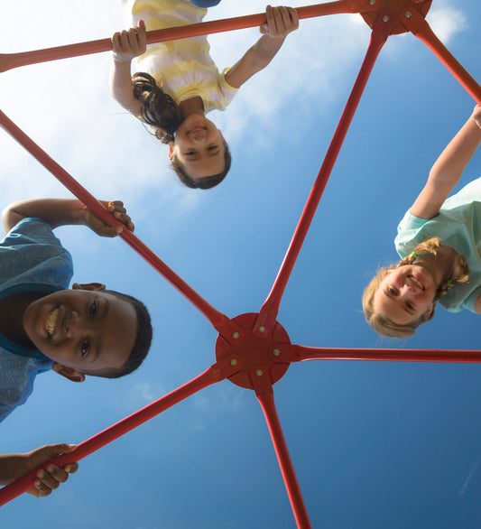 SunRise Climbing Dome Jungle Gym