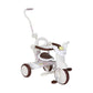 3-In-1 Foldable Tricycle With Canopy